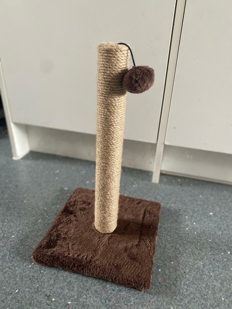 gumtree cat scratcher